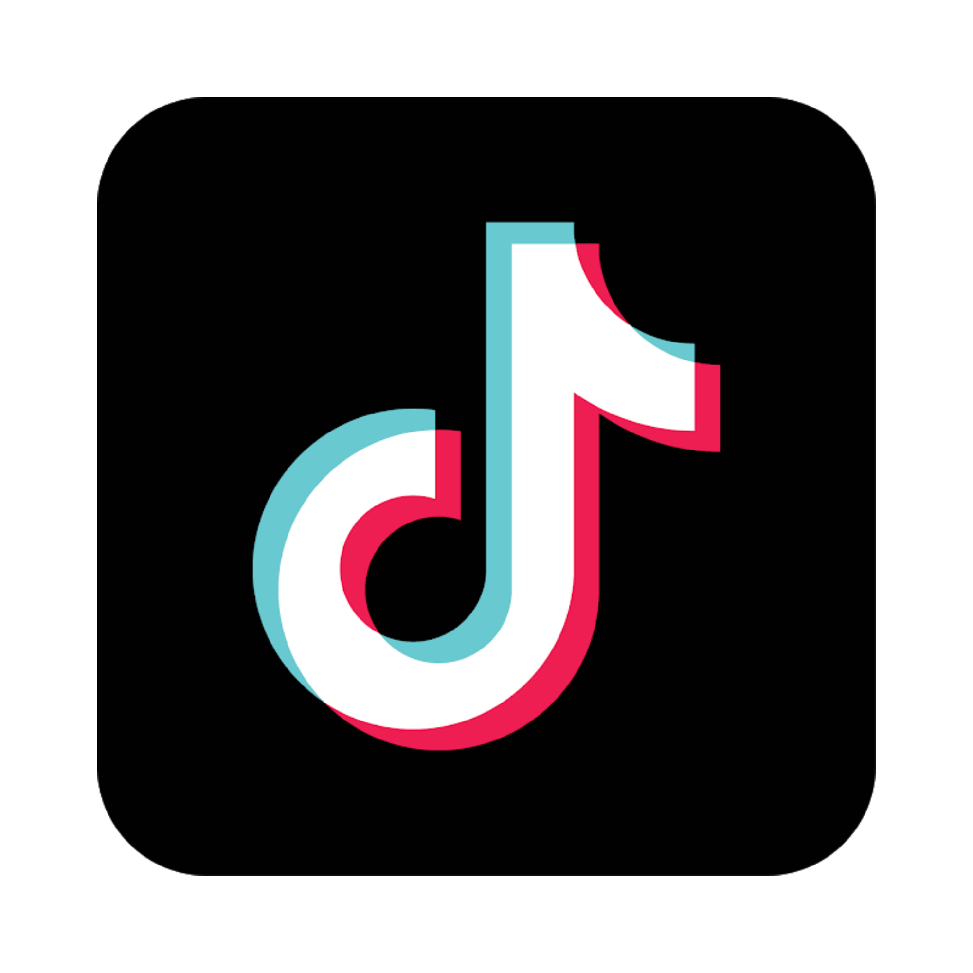 TikTok icon